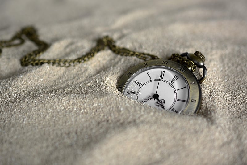 Guardians of Time Integrity